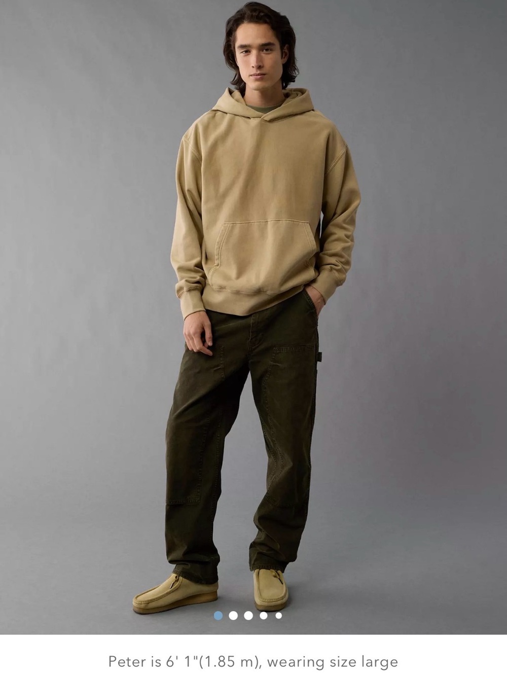 AE Laidback Luxe Heavyweight Hoodie